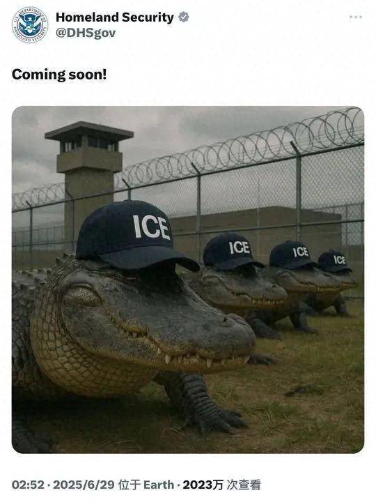 最安全靠谱的配资公司 32人关一笼！美国“鳄鱼恶魔岛”被批虐待人类